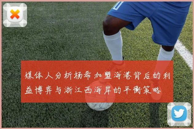 媒体人分析杨希加盟海港背后的利益博弈与浙江西海岸的平衡策略
